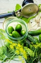 Preservation of fresh house cucumbers. Selective focus.