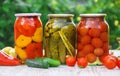 Preservation of vegetables. Blanks. Selective focus. food. Royalty Free Stock Photo