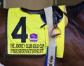 Preservationist Saddlecloth Jockey Club Gold Cup Royalty Free Stock Photo