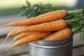 Preserved carrots in metal can Royalty Free Stock Photo