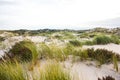 Dune field in Portuguese atlantic coast Royalty Free Stock Photo