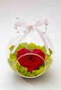 Preserved heart red rose arrangement, everlasting flowers Royalty Free Stock Photo