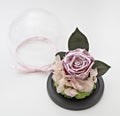 Preserved pink rose arrangement, everlasting flowers Royalty Free Stock Photo