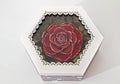 Preserved red rose arrangement in wood box, everlasting flowers Royalty Free Stock Photo