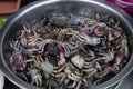 Preserved ricefield crab with salted crabs in stainless basin