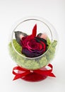 Preserved rose arrangement, everlasting flowers Royalty Free Stock Photo