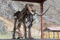 Preserved skeleton of Mammoth against the background of the nature of the mountains Royalty Free Stock Photo