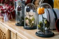 Preserved Stabilized Roses in flower florist shop, boutique. Flower Head Preserved, Infinity Rose in Glass Dome, Made