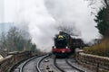 Steam engine arriving at a station