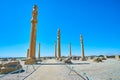 The tall columns of Apadana, Persepolis, Iran Royalty Free Stock Photo