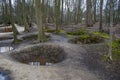 The preserved trenches at Hill 62 Sanctuary Wood on the Western Front near Ypres Royalty Free Stock Photo