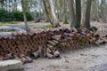 The preserved trenches at Hill 62 Sanctuary Wood on the Western Front near Ypres Royalty Free Stock Photo