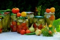 Preserves vegetables in glass jars on the table in summer garden. glass jars with various vegetables