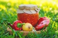 Preserving adjika in a jar. Selective focus. Royalty Free Stock Photo