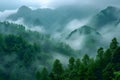 Concept Forest Preserving Forest Scenery Trees Shrouded in Fog and Conservation Efforts