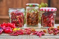 Preserving jars full of sun dried red and yellow chilli peppers. Royalty Free Stock Photo