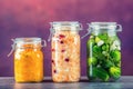 Preserving. Pickles jars. Jars with pickles, pumpkin dip, white cabbage, roasted red yellow pepper. Pickled Vegetables. Royalty Free Stock Photo