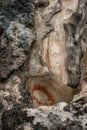 Preshistoric petroglyph rock paintings in Raja Ampat, West Papua, Indonesia.