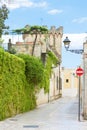 Presicce, Apulia - Ivy growing on the walls of an old castle Royalty Free Stock Photo