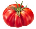 President Garfield ribbed heirloom tomato Solanum lycopersicum fruit, whole, isolated