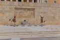 Presidential ceremonial guards