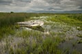 The Prespa lake in Greece Royalty Free Stock Photo