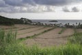 The Presqu`Ile de la Caravelle on the island of Martinique Royalty Free Stock Photo