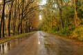 Presque Isle State Park on a Fall morning