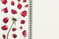 Press dried rose flower petals, on notebook page with copy space, vintage tone Royalty Free Stock Photo