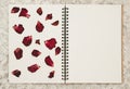 Press dried rose flower petals on photo album with copy space