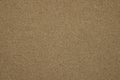 Pressed chipboard texture Royalty Free Stock Photo