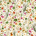 Pressed flowers on white background, seamless pattern Royalty Free Stock Photo