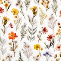 pressed dried flowers in the style watercolor on a white blackgroud,generated with AI. Royalty Free Stock Photo