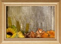 Pressed Flower Mixed Medium Royalty Free Stock Photo