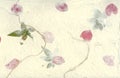 Pressed Flower Paper Background