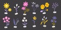 Pressed flowers collection, collage with decorative tape. Vector illustration of dried wild florals isolated on dark