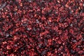 Pressed grape pomace, seeds and skins. Winemaking background