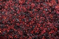 Pressed grape pomace, seeds and skins. Winemaking background