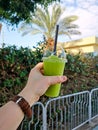 Pressed green juice fresh Royalty Free Stock Photo