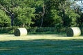 Pressed hay in round bales. Dried grass collected in the meadow. Royalty Free Stock Photo