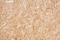 Pressed light brown wooden texture Royalty Free Stock Photo