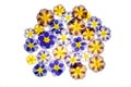 Pressed primroses