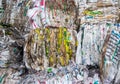 Pressed rubbish for further processing, sorting and processing of garbage, litter