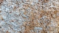 Pressed shavings, oriented strand board. Chipboard building material. OSB wood panel made of pressed sandy brown Royalty Free Stock Photo