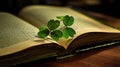 pressed three leaf clover Royalty Free Stock Photo