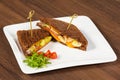 Pressed and toasted double panini with ham and cheese served on sandwich Royalty Free Stock Photo