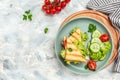 Pressed and toasted double panini with ham, cheese and tomatoes served on sandwich with fresh salad. banner, menu recipe place for Royalty Free Stock Photo