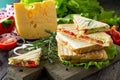 Pressed and toasted double sandwich with fresh vegetables and cheese, served with lettuce leaves on a cutting board Royalty Free Stock Photo