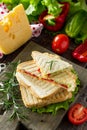 Pressed and toasted double sandwich with fresh vegetables and cheese, served with lettuce leaves on a cutting board Royalty Free Stock Photo