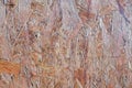 Pressed wood panel background, seamless texture oriented Board-OSB. close up Royalty Free Stock Photo